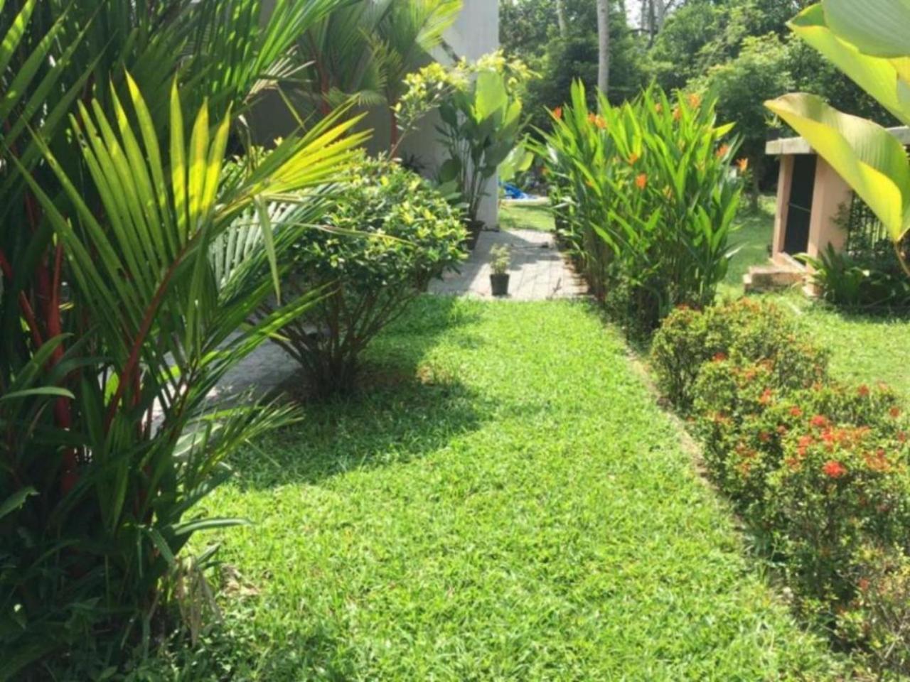 White Butterfly - A Countryside Homestay Thiruvananthapuram Eksteriør bilde